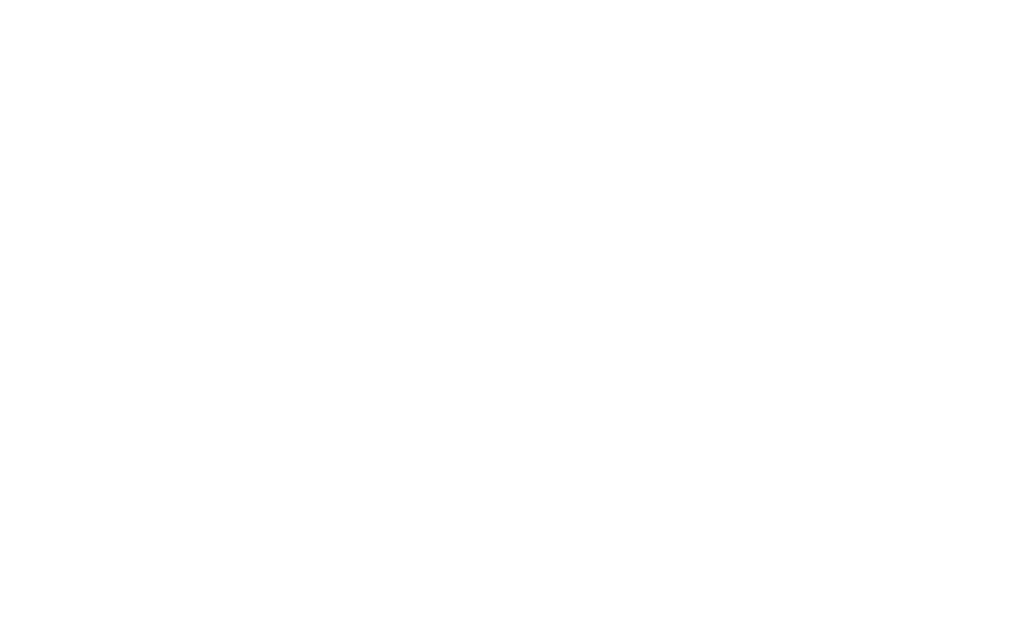 Shine & Protect Detailing Breda